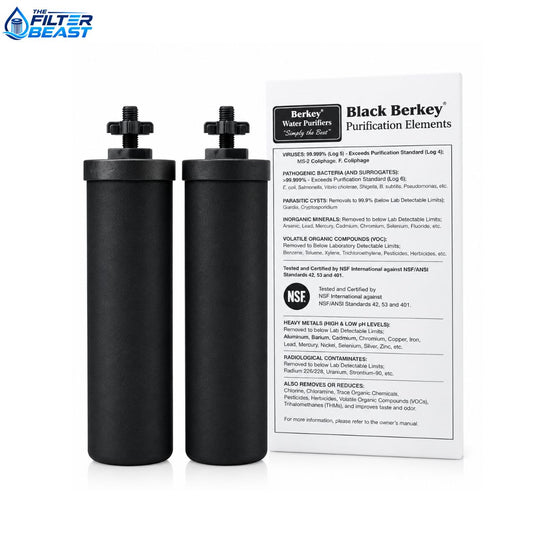 Black Berkey BB9-2 Water Filtration Elements – 2 Pack
