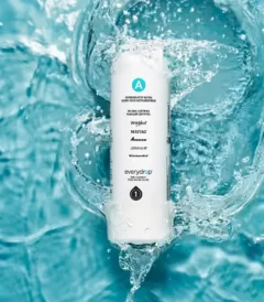 EDRARXD1 Filter A refrigerator Water filter