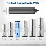 Black Berkey BB9-2 Replacement Water Filter Elements (Set of 2) - Image 5